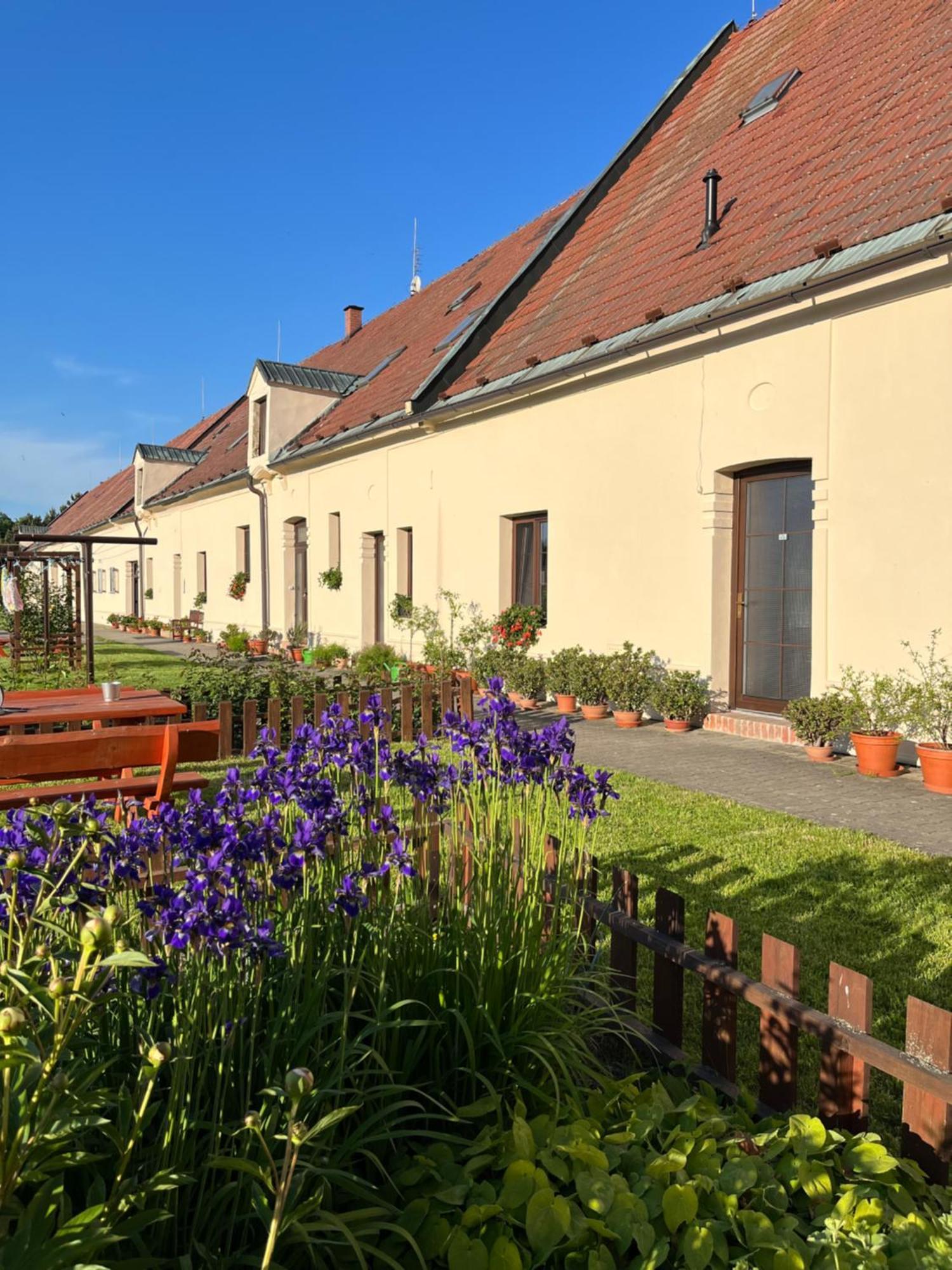 Dvůr Nové Zámky Hotel Mladec Exterior foto