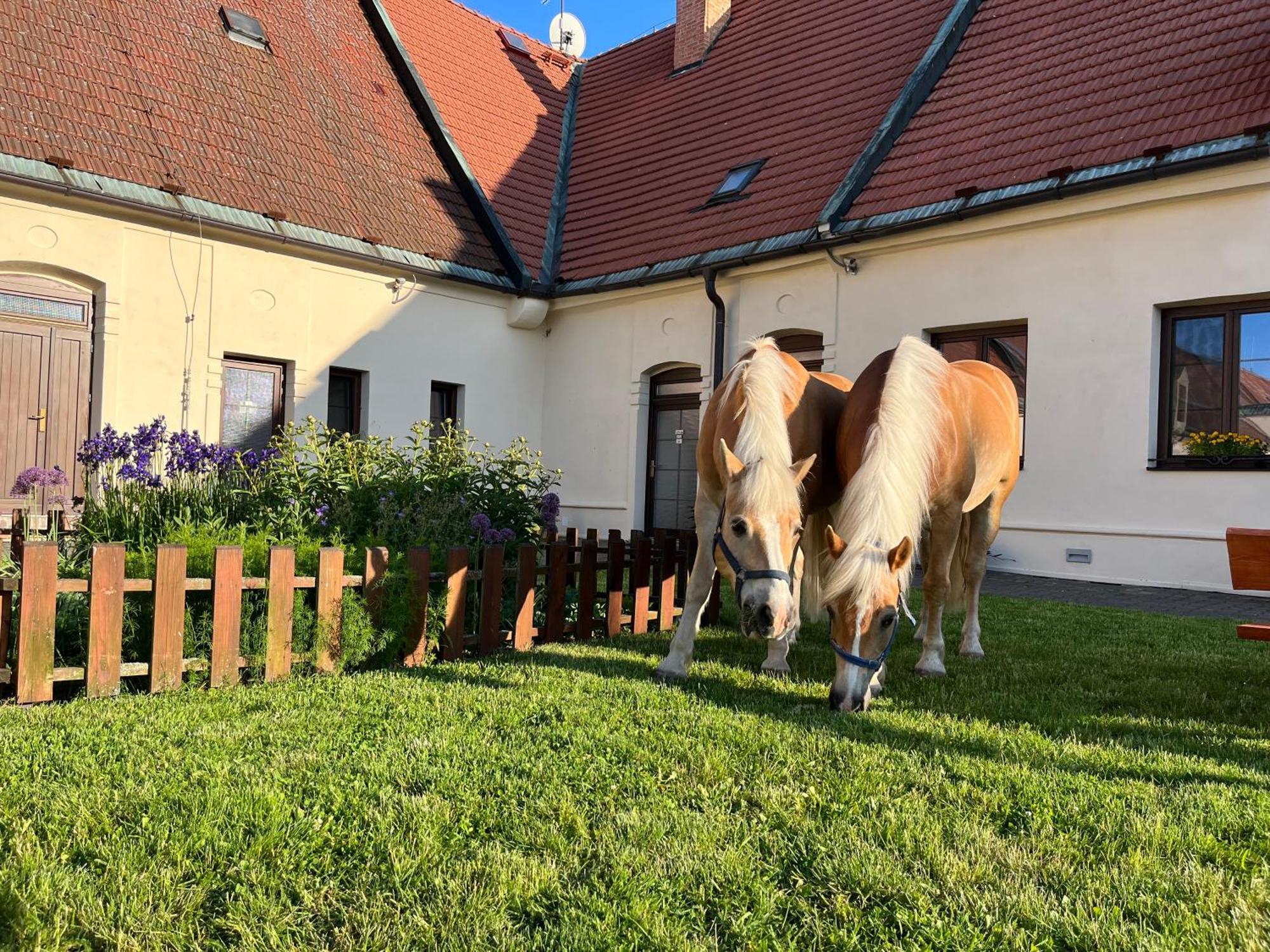 Dvůr Nové Zámky Hotel Mladec Exterior foto