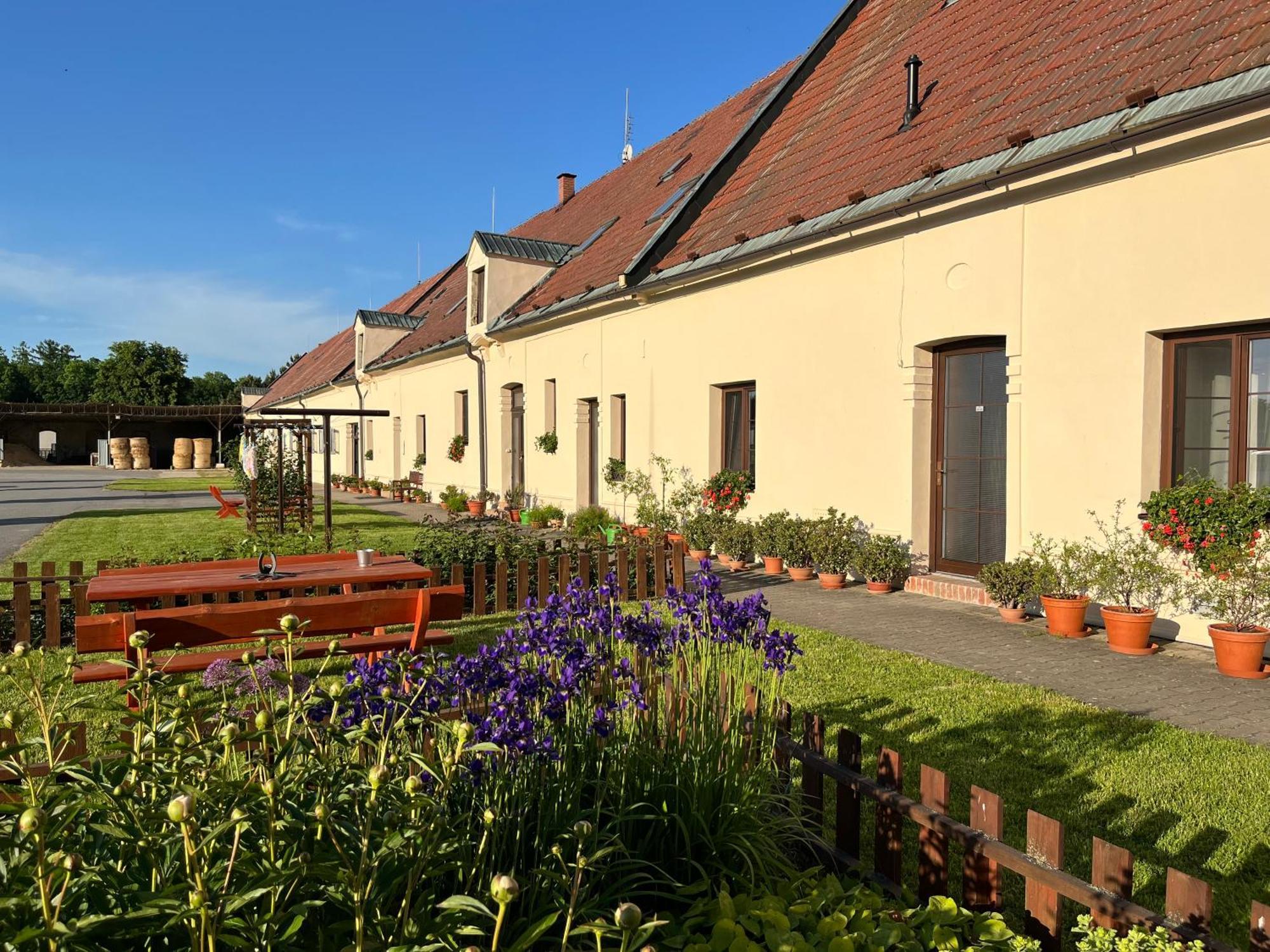Dvůr Nové Zámky Hotel Mladec Exterior foto